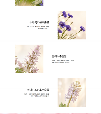 보은진랜딩 - 보은진 랜딩페이지 제작